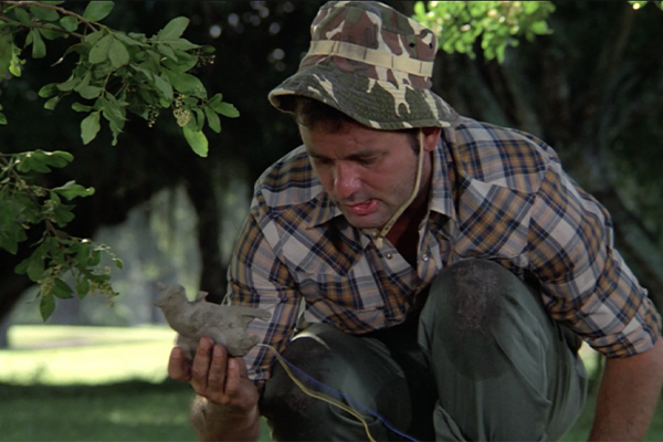 Carl placing a decoy gopher explosive to end the gopher problem.