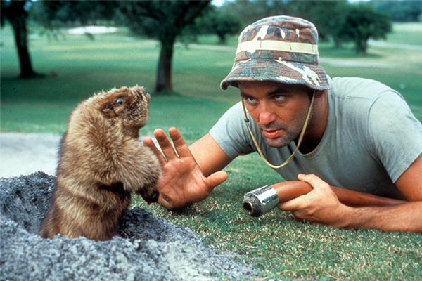 Bill Murray's character talking to the gopher